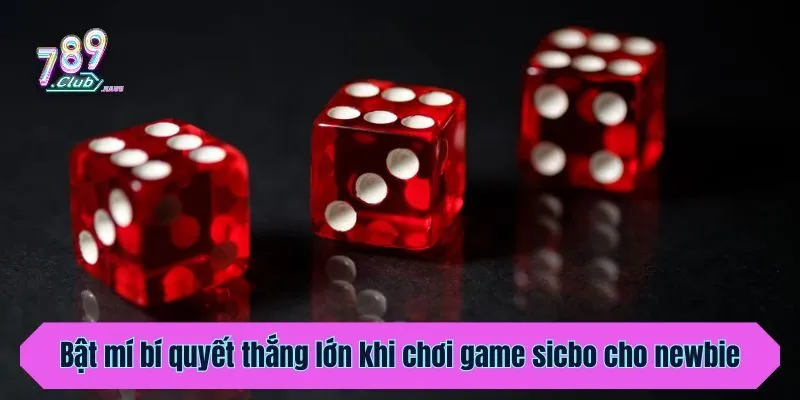 Bật mí bí quyết thắng lớn khi chơi game sicbo cho newbie