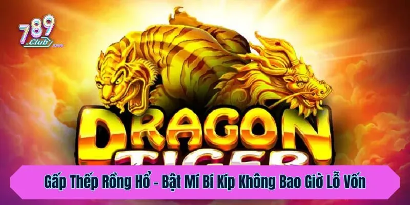 Gấp Thếp Rồng Hổ - Bật Mí Bí Kíp Không Bao Giờ Lỗ Vốn