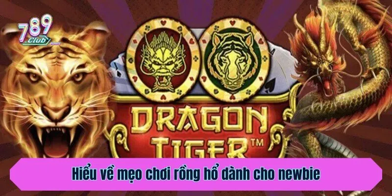 Hiểu về mẹo chơi rồng hổ dành cho newbie