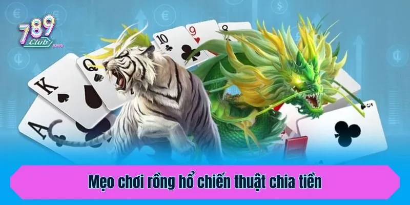 Mẹo chơi rồng hổ chiến thuật chia tiền