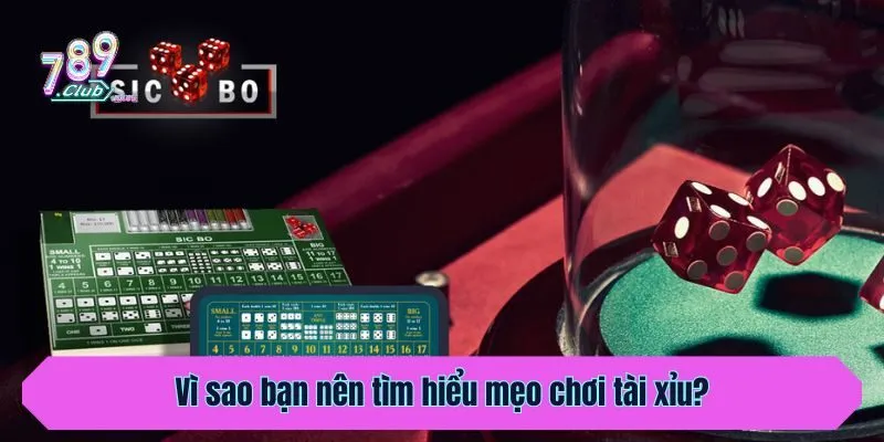 Vì sao bạn nên tìm hiểu mẹo chơi tài xỉu?